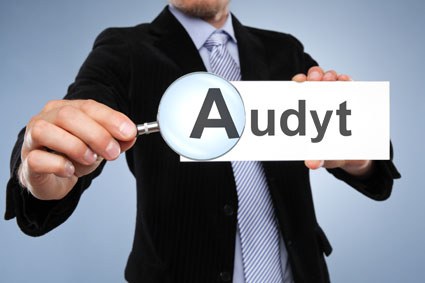26-30.10.2015 Audits in India – Possibility to order an API manufacturer’s audit